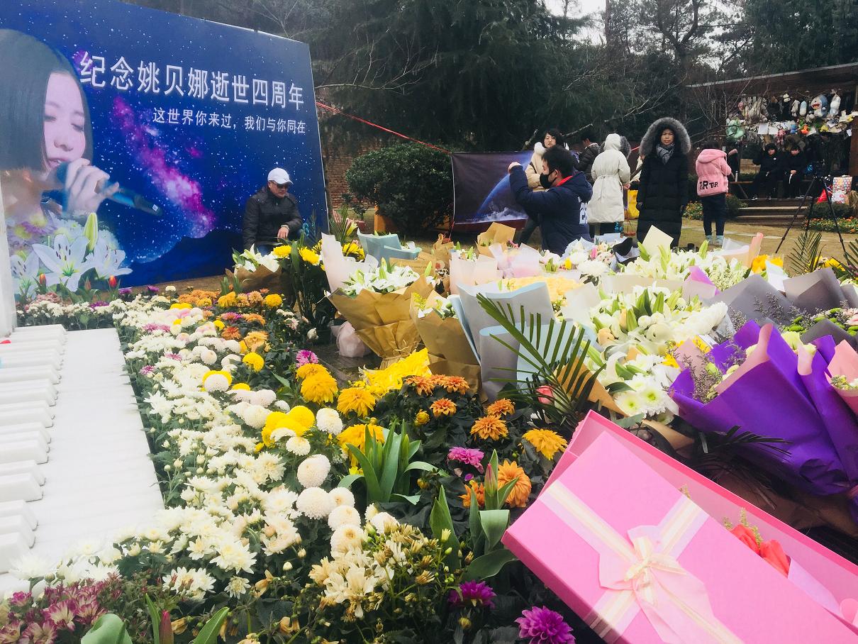 姚贝娜官方纪念网站 - 娜样芳华资讯网